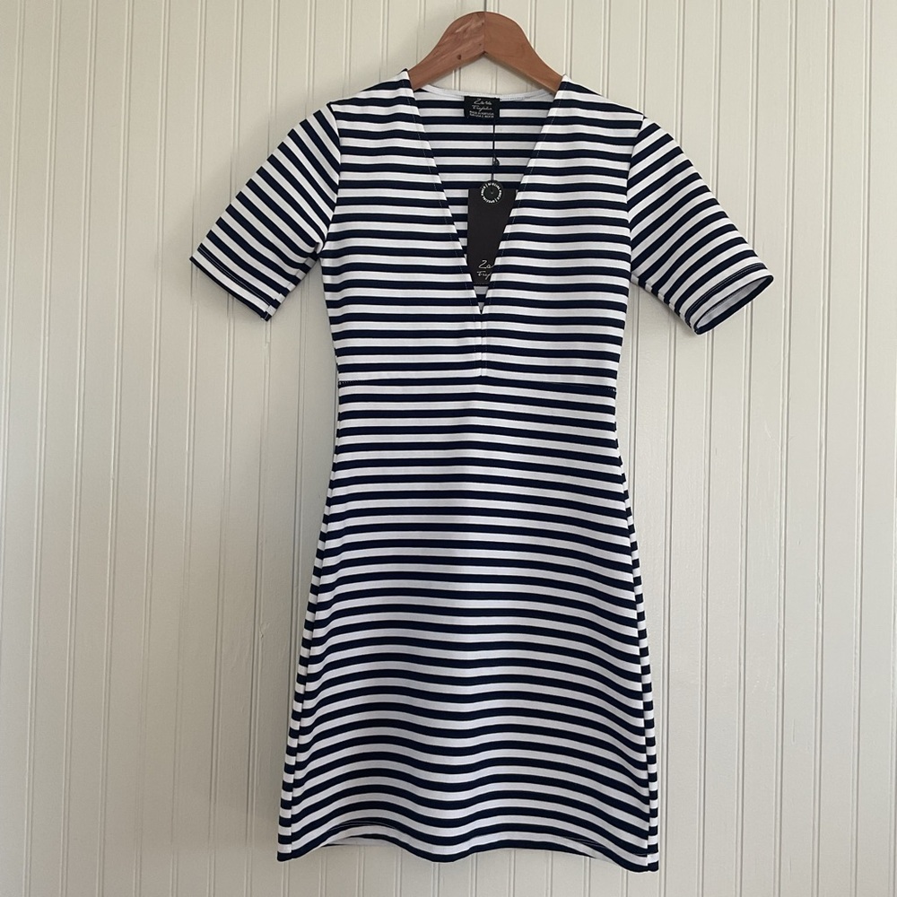 Zara Trafulac Stripe V-Neck Minidress